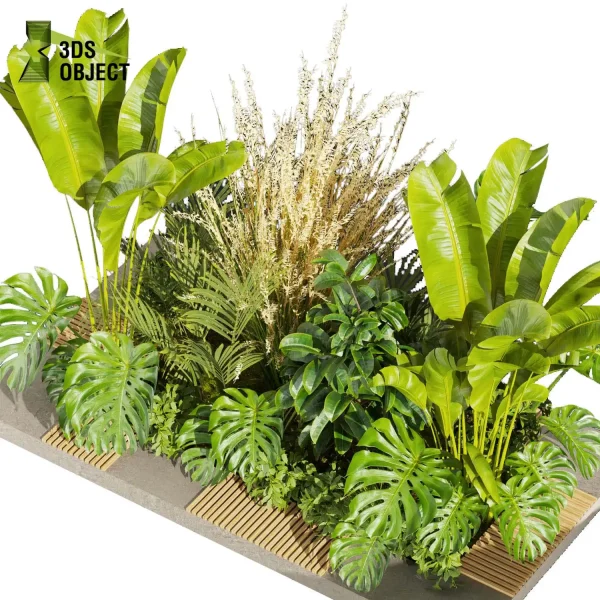3d garden plant models botanical Visualization Landscape Foliage Vegetation Rendering Environment tree Design high poly bush banana monstera rubber pampas palm cinema 4d 3ds max blender enscpae fbx obj Rhino Sketchup lumion