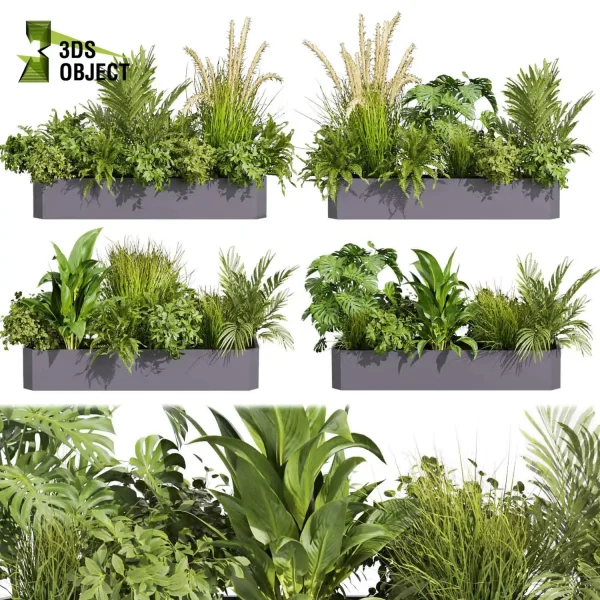 3d model plant free Vegetation tree box Foliage Pampas palm grass monstera peace lily bush 3D Tree Generator Landscape Design Software Foliage Rendering Digital Landscaping 3D Plant Creation Virtual Garden Design Botanical Simulation Plant Visualization Vegetation Modeling planter pot greenhouse balcony decorative hamedorea indoor bush houseplant flowerpot cinema 4d 3ds max blender enscape fbx obj Rhino Sketchup lumion low poly