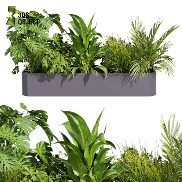 3d model plant free Vegetation tree box Foliage Pampas palm grass monstera peace lily bush 3D Tree Generator Landscape Design Software Foliage Rendering Digital Landscaping 3D Plant Creation Virtual Garden Design Botanical Simulation Plant Visualization Vegetation Modeling planter pot greenhouse balcony decorative hamedorea indoor bush houseplant flowerpot cinema 4d 3ds max blender enscape fbx obj Rhino Sketchup lumion low poly