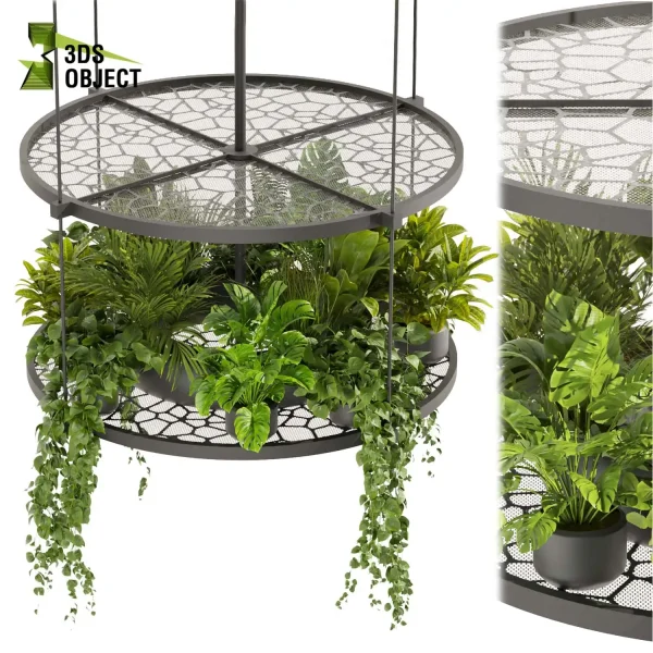 3d model plant hanging free Botanical Models corton monstera palm pothos grass vegetation modeling tool botanical architecture simulator architectural rendering 3drender interior design cinema 4d 3ds max blender enscape fbx obj Rhino Sketchup lumion