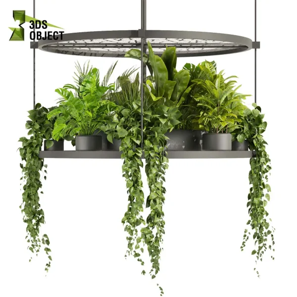 3d model plant hanging free Botanical Models corton monstera palm pothos grass vegetation modeling tool botanical architecture simulator architectural rendering 3drender interior design cinema 4d 3ds max blender enscape fbx obj Rhino Sketchup lumion