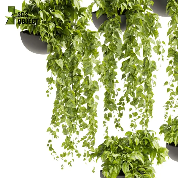 3d model plant hanging free Botanical Models Pothos houseplant flowerpot Virtual Garden Design Botanical Simulation Plant Visualization Vegetation Modeling architectural Devil's ivy cinema 4d 3ds max blender enscape fbx obj Rhino Sketchup lumion