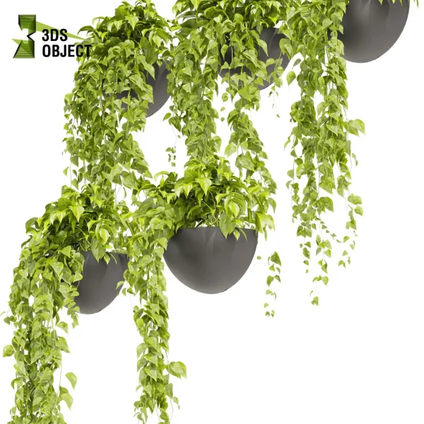 3d model plant hanging free Botanical Models Pothos houseplant flowerpot Virtual Garden Design Botanical Simulation Plant Visualization Vegetation Modeling architectural Devil's ivy cinema 4d 3ds max blender enscape fbx obj Rhino Sketchup lumion