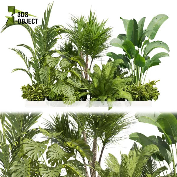 3d garden plant models botanical Visualization Landscape Foliage Vegetation Rendering Environment tree Design high poly bush palm monstera banana corton dracena  cinema 4d 3ds max blender enscpae fbx obj Rhino Sketchup lumion architectural