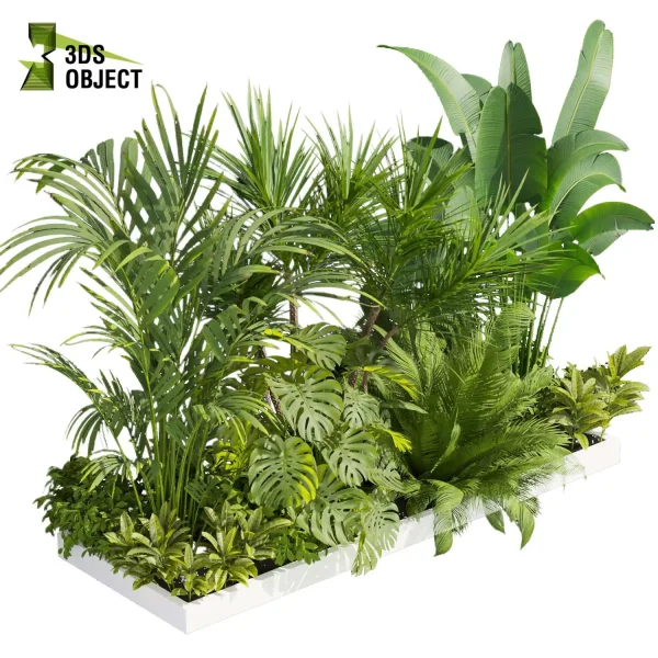 3d garden plant models botanical Visualization Landscape Foliage Vegetation Rendering Environment tree Design high poly bush palm monstera banana corton dracena cinema 4d 3ds max blender enscpae fbx obj Rhino Sketchup lumion architectural