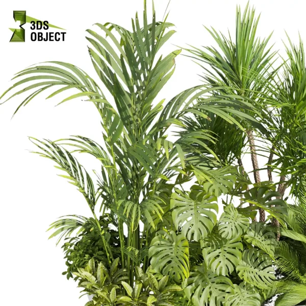3d garden plant models botanical Visualization Landscape Foliage Vegetation Rendering Environment tree Design high poly bush palm monstera banana corton dracena  cinema 4d 3ds max blender enscpae fbx obj Rhino Sketchup lumion architectural