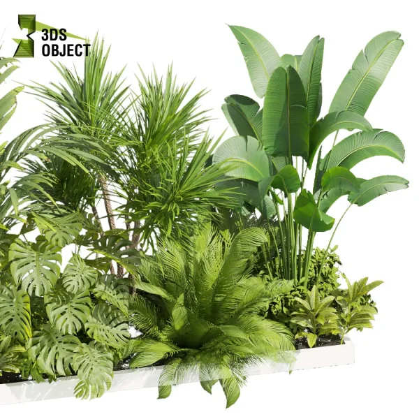 3d garden plant models botanical Visualization Landscape Foliage Vegetation Rendering Environment tree Design high poly bush palm monstera banana corton dracena cinema 4d 3ds max blender enscpae fbx obj Rhino Sketchup lumion architectural