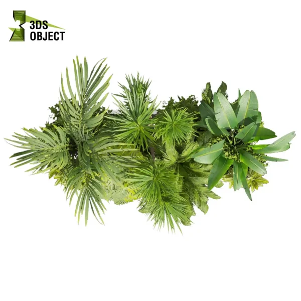 3d garden plant models botanical Visualization Landscape Foliage Vegetation Rendering Environment tree Design high poly bush palm monstera banana corton dracena cinema 4d 3ds max blender enscpae fbx obj Rhino Sketchup lumion architectural