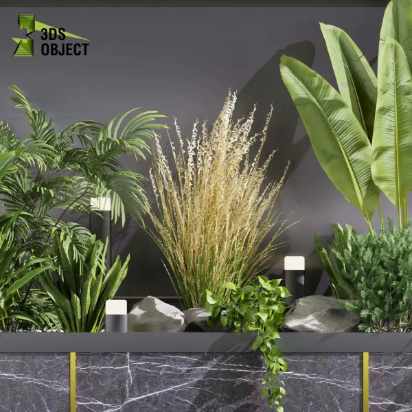 3d garden plant models botanical Visualization Landscape Foliage Vegetation Rendering Environment tree Design high poly bush pampas palm peace lily pothos banana Virtual Garden Design Botanical Simulation Plant Visualization Vegetation Modeling cinema 4d 3ds max blender enscpae fbx obj Rhino Sketchup lumion