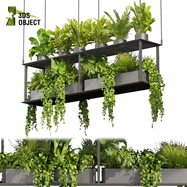 3d model plant hanging free Botanical Models banana corton monstera pothos bird of paradise fern Devil's ivy purchase interior visualization landscape Ecological Simulation Digital Horticulture Plant Design Software cinema 4d 3ds max blender enscape fbx obj Rhino Sketchup lumion