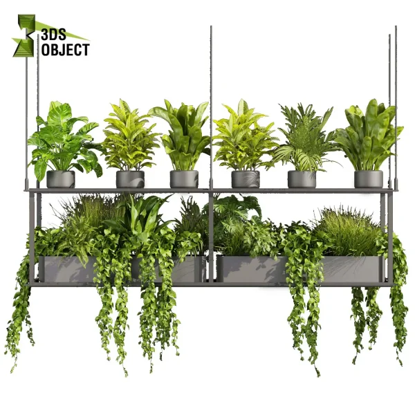 3d model plant hanging free Botanical Models banana corton monstera pothos bird of paradise fern Devil's ivy purchase interior visualization landscape Ecological Simulation Digital Horticulture Plant Design Software cinema 4d 3ds max blender enscape fbx obj Rhino Sketchup lumion