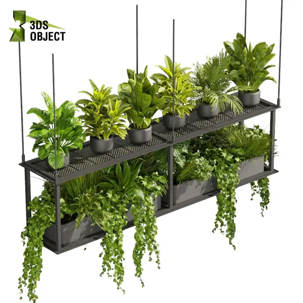 3d model plant hanging free Botanical Models banana corton monstera pothos bird of paradise fern Devil's ivy purchase interior visualization landscape Ecological Simulation Digital Horticulture Plant Design Software cinema 4d 3ds max blender enscape fbx obj Rhino Sketchup lumion