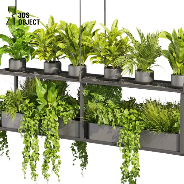 3d model plant hanging free Botanical Models banana corton monstera pothos bird of paradise fern Devil's ivy purchase interior visualization landscape Ecological Simulation Digital Horticulture Plant Design Software cinema 4d 3ds max blender enscape fbx obj Rhino Sketchup lumion