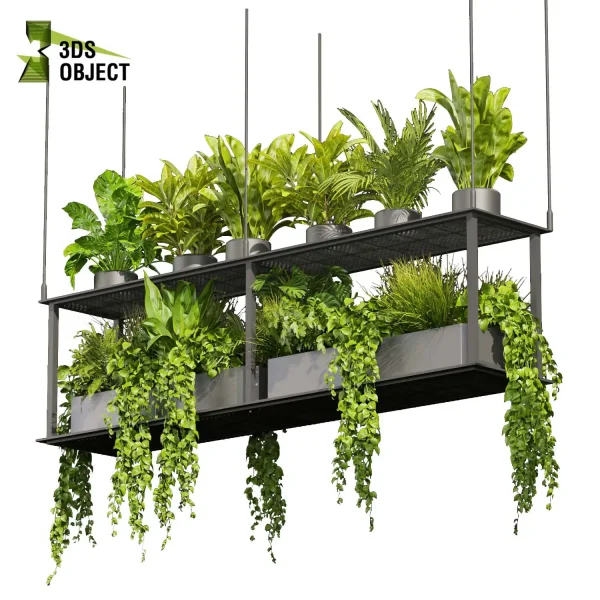 3d model plant hanging free Botanical Models banana corton monstera pothos bird of paradise fern Devil's ivy purchase interior visualization landscape Ecological Simulation Digital Horticulture Plant Design Software cinema 4d 3ds max blender enscape fbx obj Rhino Sketchup lumion