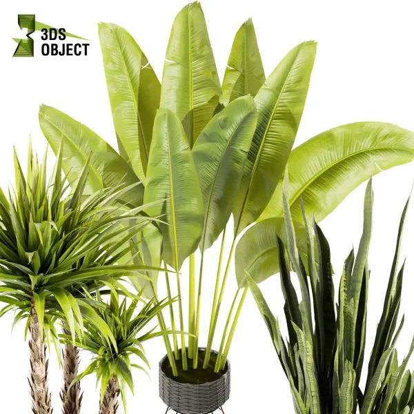 3d model plant pot free Sansveria banana peace lily monstera dracena  purchase visualization 3D architectural render