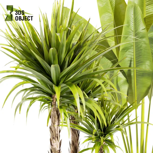 3d model plant pot free Sansveria banana peace lily monstera dracena purchase visualization 3D architectural render