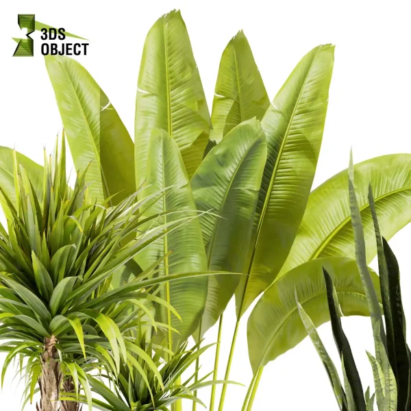 3d model plant pot free Sansveria banana peace lily monstera dracena purchase visualization 3D architectural render