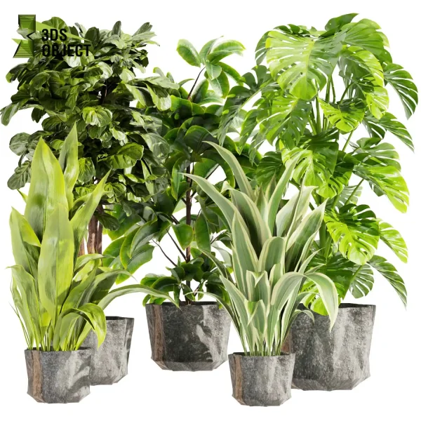 3d model plant pot free Fiddle banana monstera rubber paradise visualization lumion architectural