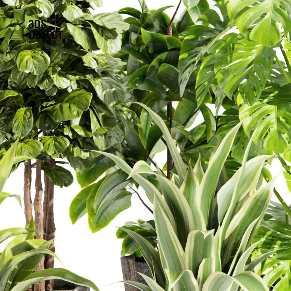 3d model plant pot free Fiddle banana monstera rubber paradise visualization lumion architectural