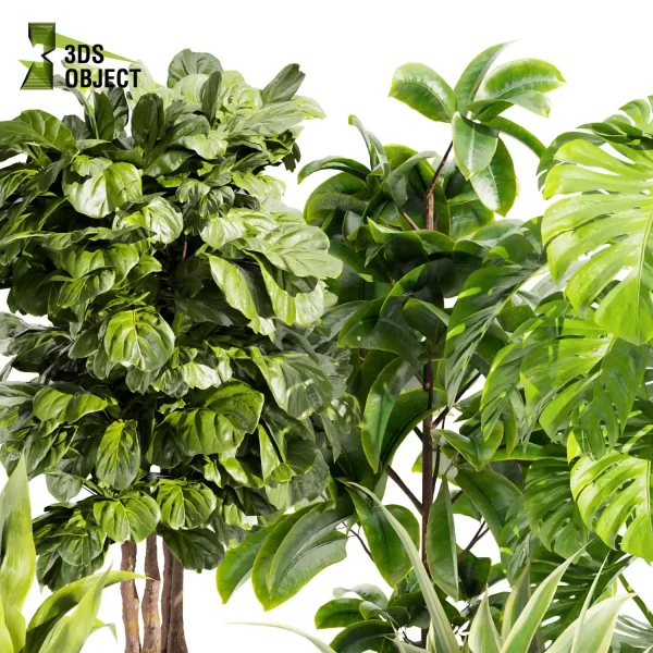 3d model plant pot free Fiddle banana monstera rubber paradise visualization lumion architectural