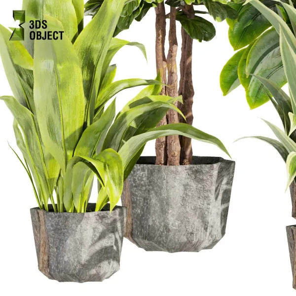 3d model plant pot free Fiddle banana monstera rubber paradise visualization lumion architectural