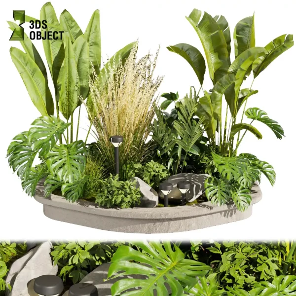 3d garden plant models botanical Visualization Landscape Foliage Vegetation Rendering Environment tree Design high poly switchgrass bush monstera pampas banana palm rubber cinema 4d 3ds max blender enscpae fbx obj Rhino Sketchup lumion