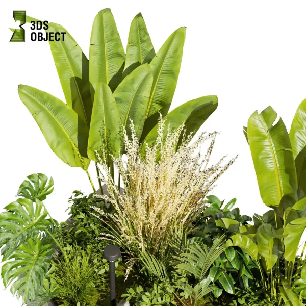 3d garden plant models botanical Visualization Landscape Foliage Vegetation Rendering Environment tree Design high poly switchgrass bush monstera pampas banana palm rubber cinema 4d 3ds max blender enscpae fbx obj Rhino Sketchup lumion