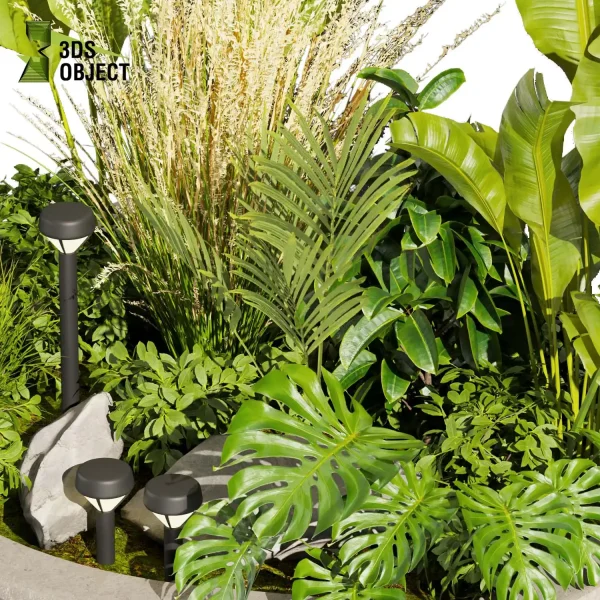 3d garden plant models botanical Visualization Landscape Foliage Vegetation Rendering Environment tree Design high poly switchgrass bush monstera pampas banana palm rubber cinema 4d 3ds max blender enscpae fbx obj Rhino Sketchup lumion