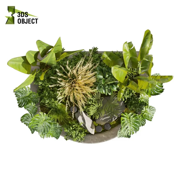 3d garden plant models botanical Visualization Landscape Foliage Vegetation Rendering Environment tree Design high poly switchgrass bush monstera pampas banana palm rubber cinema 4d 3ds max blender enscpae fbx obj Rhino Sketchup lumion