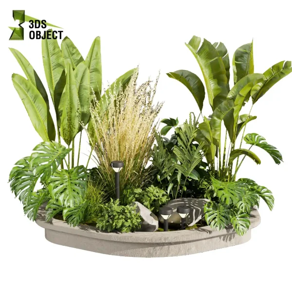 3d garden plant models botanical Visualization Landscape Foliage Vegetation Rendering Environment tree Design high poly switchgrass bush monstera pampas banana palm rubber cinema 4d 3ds max blender enscpae fbx obj Rhino Sketchup lumion