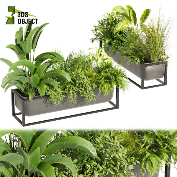 3d model plant free Vegetation tree box Foliage Banana palm fern bush grass Vegetation Rendering Plant Simulation Virtual Botany Ecological Simulation Digital Horticulture Plant Design Software vegetation modeling tool botanical architecture simulator 3D architectural visualization cinema 4d 3ds max blender enscape fbx obj Rhino Sketchup lumion low poly box buy