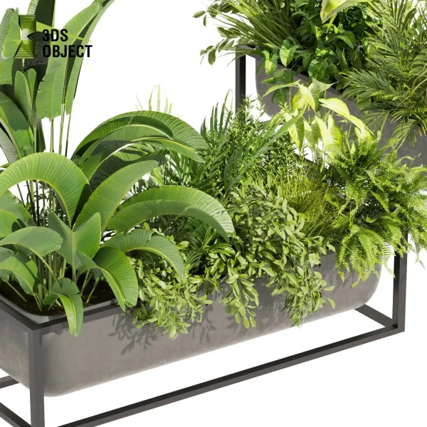 3d model plant free Vegetation tree box Foliage Banana palm fern bush grass Vegetation Rendering Plant Simulation Virtual Botany Ecological Simulation Digital Horticulture Plant Design Software vegetation modeling tool botanical architecture simulator 3D architectural visualization cinema 4d 3ds max blender enscape fbx obj Rhino Sketchup lumion low poly box buy