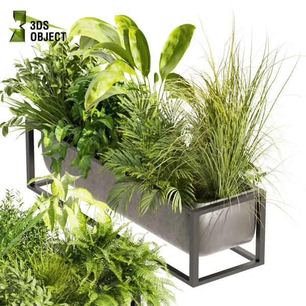 3d model plant free Vegetation tree box Foliage Banana palm fern bush grass Vegetation Rendering Plant Simulation Virtual Botany Ecological Simulation Digital Horticulture Plant Design Software vegetation modeling tool botanical architecture simulator 3D architectural visualization cinema 4d 3ds max blender enscape fbx obj Rhino Sketchup lumion low poly box buy