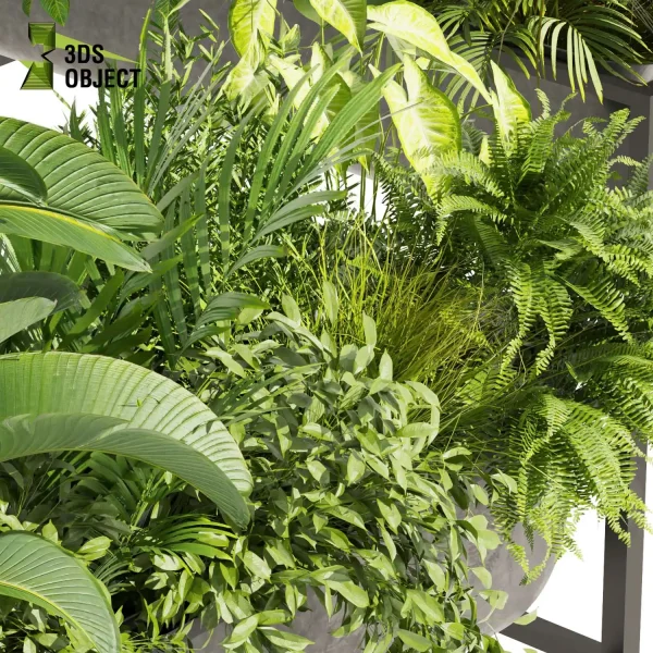 3d model plant free Vegetation tree box Foliage Banana palm fern bush grass Vegetation Rendering Plant Simulation Virtual Botany Ecological Simulation Digital Horticulture Plant Design Software vegetation modeling tool botanical architecture simulator 3D architectural visualization cinema 4d 3ds max blender enscape fbx obj Rhino Sketchup lumion low poly box buy