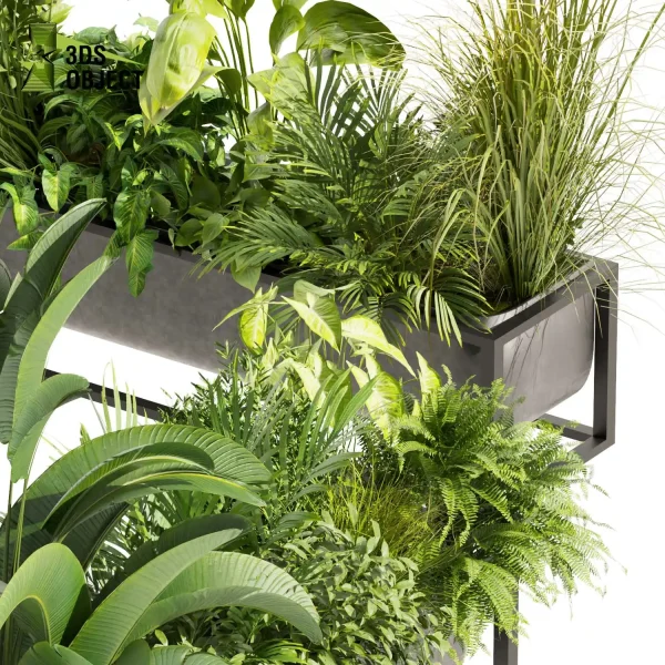 3d model plant free Vegetation tree box Foliage Banana palm fern bush grass Vegetation Rendering Plant Simulation Virtual Botany Ecological Simulation Digital Horticulture Plant Design Software vegetation modeling tool botanical architecture simulator 3D architectural visualization cinema 4d 3ds max blender enscape fbx obj Rhino Sketchup lumion low poly box buy