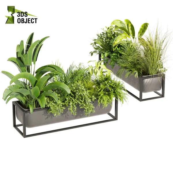 3d model plant free Vegetation tree box Foliage Banana palm fern bush grass Vegetation Rendering Plant Simulation Virtual Botany Ecological Simulation Digital Horticulture Plant Design Software vegetation modeling tool botanical architecture simulator 3D architectural visualization cinema 4d 3ds max blender enscape fbx obj Rhino Sketchup lumion low poly box buy