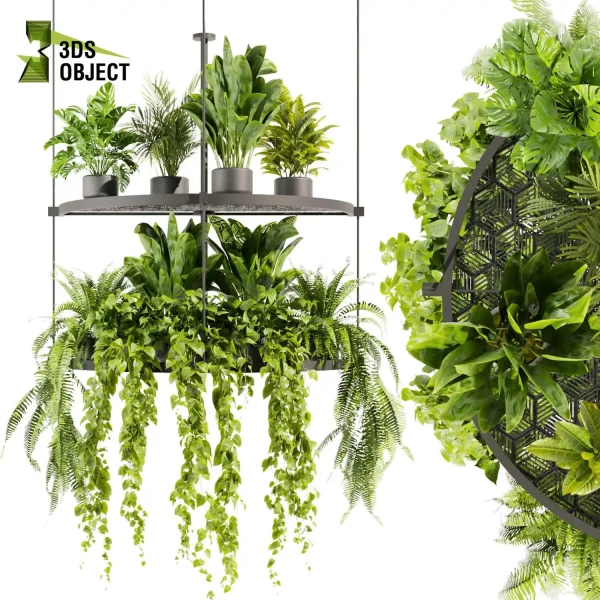3d model plant hanging free Botanical Models fern monstera palm banana corton pothos Greenery Assets Flora Objects 3D Plant Creation cinema 4d 3ds max blender enscape fbx obj Rhino Sketchup lumion purchase