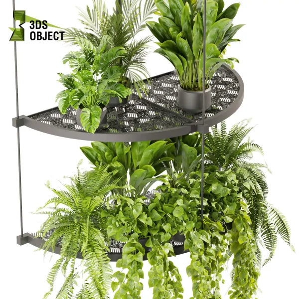 3d model plant hanging free Botanical Models fern monstera palm banana corton pothos Greenery Assets Flora Objects 3D Plant Creation cinema 4d 3ds max blender enscape fbx obj Rhino Sketchup lumion purchase