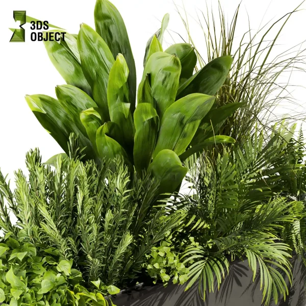 3d model plant free Vegetation tree box Foliage Pothos banana low poly palm fern rosmary Vegetation Assets Foliage Generator Plant Rendering 3D Flora Lush Environment Greenery Generator Botanical Rendering Nature Simulation Plant Modeling Software vegetation modeling tool botanical architecture simulator 3D architectural visualization cinema 4d 3ds max blender enscape fbx obj Rhino Sketchup lumion