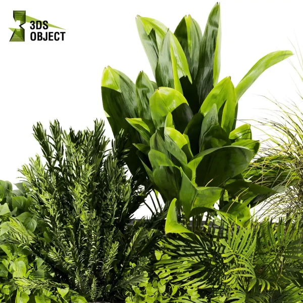 3d model plant free Vegetation tree box low poly Foliage Pothos banana palm fern rosmary Vegetation Assets Foliage Generator Plant Rendering 3D Flora Lush Environment Greenery Generator Botanical Rendering Nature Simulation Plant Modeling Software vegetation modeling tool botanical architecture simulator 3D architectural visualization cinema 4d 3ds max blender enscape fbx obj Rhino Sketchup lumion
