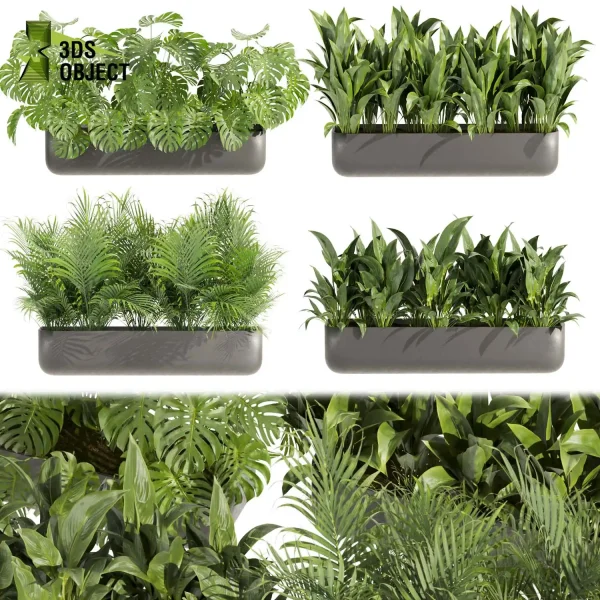 3d model plant free Vegetation tree box Foliage Monstera, palm, bird of paradise, peace lily low poly Landscape Design Software Foliage Rendering Digital Landscaping 3D Plant Creation Virtual Garden Design Botanical Simulation Plant Visualization Vegetation Modeling cinema 4d 3ds max blender enscape fbx obj Rhino Sketchup lumion