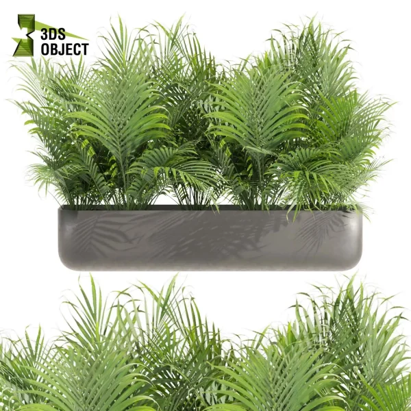 3d model plant free Vegetation tree box Foliage Monstera, palm, bird of paradise, peace lily low poly Landscape Design Software Foliage Rendering Digital Landscaping 3D Plant Creation Virtual Garden Design Botanical Simulation Plant Visualization Vegetation Modeling cinema 4d 3ds max blender enscape fbx obj Rhino Sketchup lumion