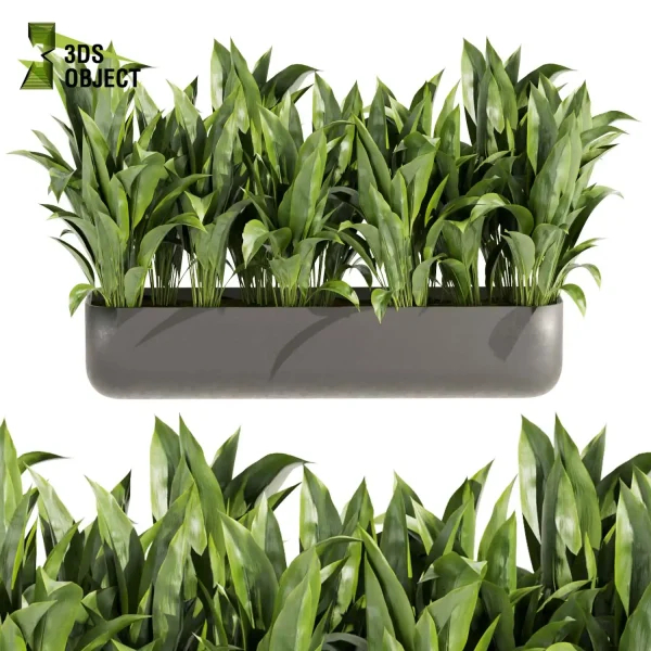 3d model plant free Vegetation tree box Foliage Monstera, palm, bird of paradise, peace lily low poly Landscape Design Software Foliage Rendering Digital Landscaping 3D Plant Creation Virtual Garden Design Botanical Simulation Plant Visualization Vegetation Modeling cinema 4d 3ds max blender enscape fbx obj Rhino Sketchup lumion