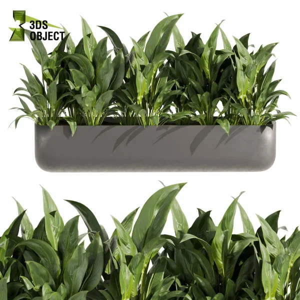 3d model plant free Vegetation tree box Foliage Monstera, palm, bird of paradise, peace lily low poly Landscape Design Software Foliage Rendering Digital Landscaping 3D Plant Creation Virtual Garden Design Botanical Simulation Plant Visualization Vegetation Modeling cinema 4d 3ds max blender enscape fbx obj Rhino Sketchup lumion