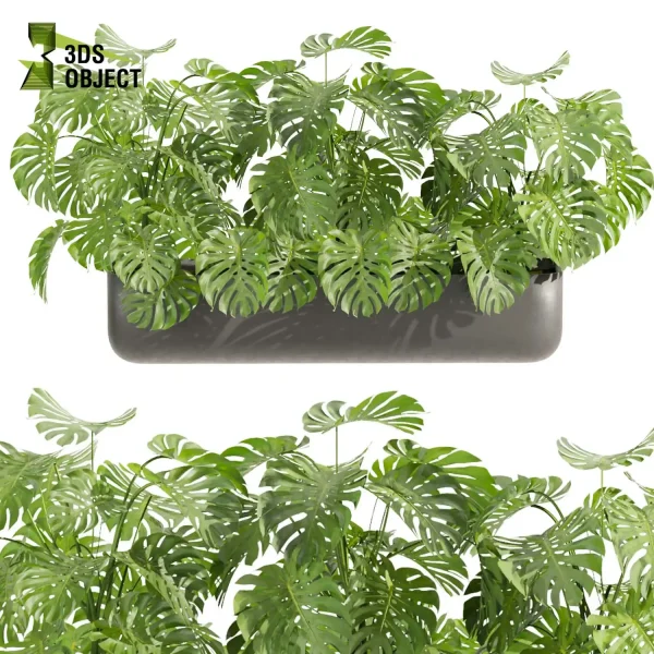 3d model plant free Vegetation tree box Foliage Monstera, palm, bird of paradise, peace lily low poly Landscape Design Software Foliage Rendering Digital Landscaping 3D Plant Creation Virtual Garden Design Botanical Simulation Plant Visualization Vegetation Modeling cinema 4d 3ds max blender enscape fbx obj Rhino Sketchup lumion