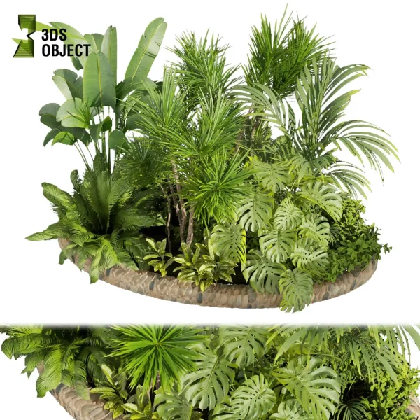 3d garden plant models botanical Visualization Landscape Foliage Vegetation Rendering Environment tree Design high poly bush dracena monstera banana palm corton Virtual Garden Design Botanical Simulation Plant Visualization Vegetation Modeling cinema 4d 3ds max blender enscpae fbx obj Rhino Sketchup lumion