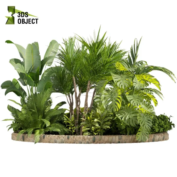 3d garden plant models botanical Visualization Landscape Foliage Vegetation Rendering Environment tree Design high poly bush dracena monstera banana palm corton Virtual Garden Design Botanical Simulation Plant Visualization Vegetation Modeling cinema 4d 3ds max blender enscpae fbx obj Rhino Sketchup lumion