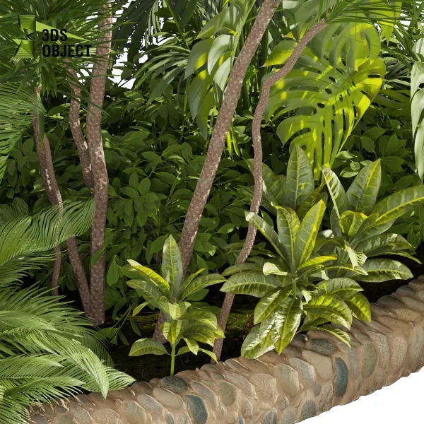 3d garden plant models botanical Visualization Landscape Foliage Vegetation Rendering Environment tree Design high poly bush dracena monstera banana palm corton Virtual Garden Design Botanical Simulation Plant Visualization Vegetation Modeling cinema 4d 3ds max blender enscpae fbx obj Rhino Sketchup lumion