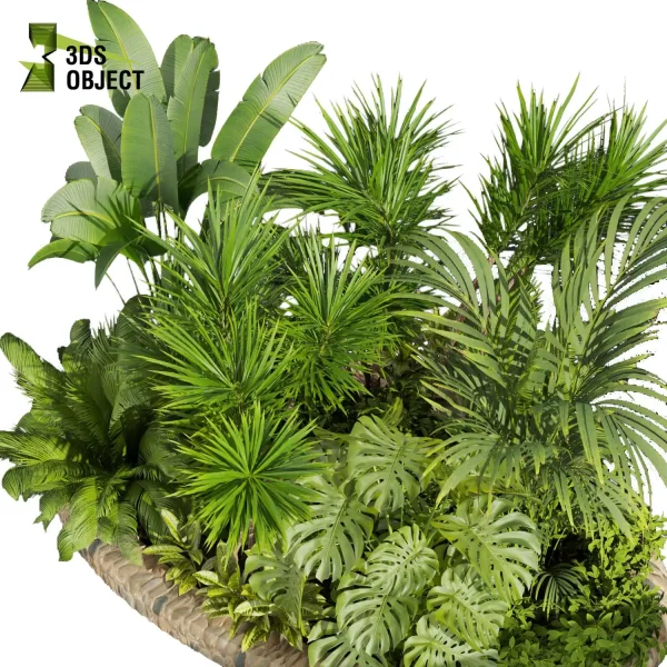 3d garden plant models botanical Visualization Landscape Foliage Vegetation Rendering Environment tree Design high poly bush dracena monstera banana palm corton Virtual Garden Design Botanical Simulation Plant Visualization Vegetation Modeling cinema 4d 3ds max blender enscpae fbx obj Rhino Sketchup lumion
