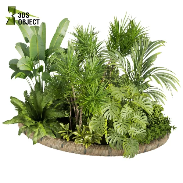 3d garden plant models botanical Visualization Landscape Foliage Vegetation Rendering Environment tree Design high poly bush dracena monstera banana palm corton Virtual Garden Design Botanical Simulation Plant Visualization Vegetation Modeling cinema 4d 3ds max blender enscpae fbx obj Rhino Sketchup lumion